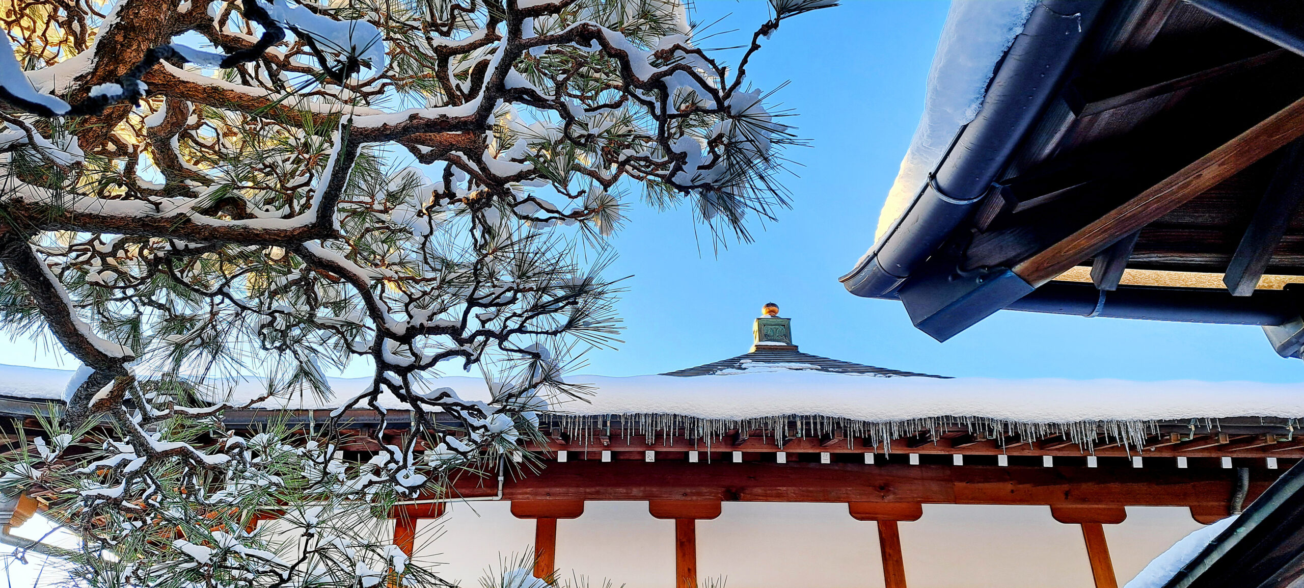 大乗院